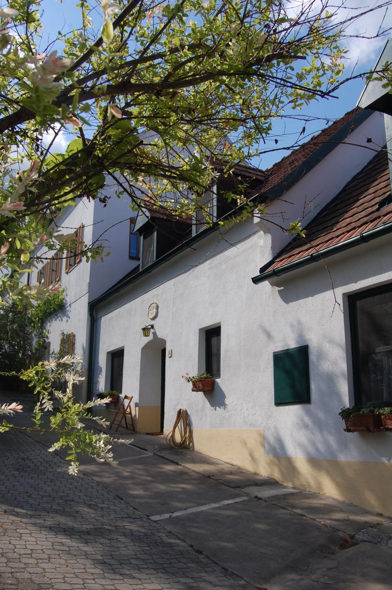 Bed and Breakfast Hofgassl Zentgraf à Mörbisch am See Extérieur photo